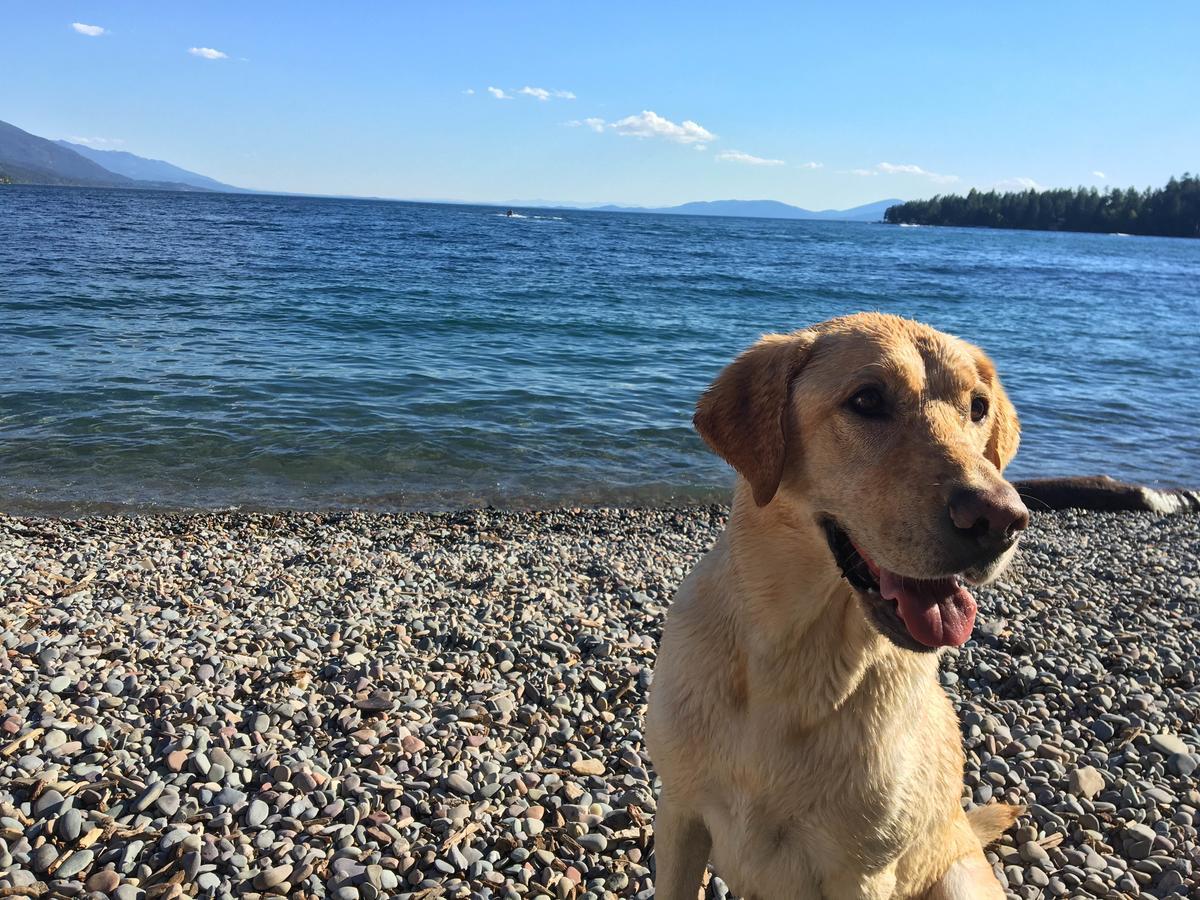 Flathead Lake Resort Woods Bay Exterior foto